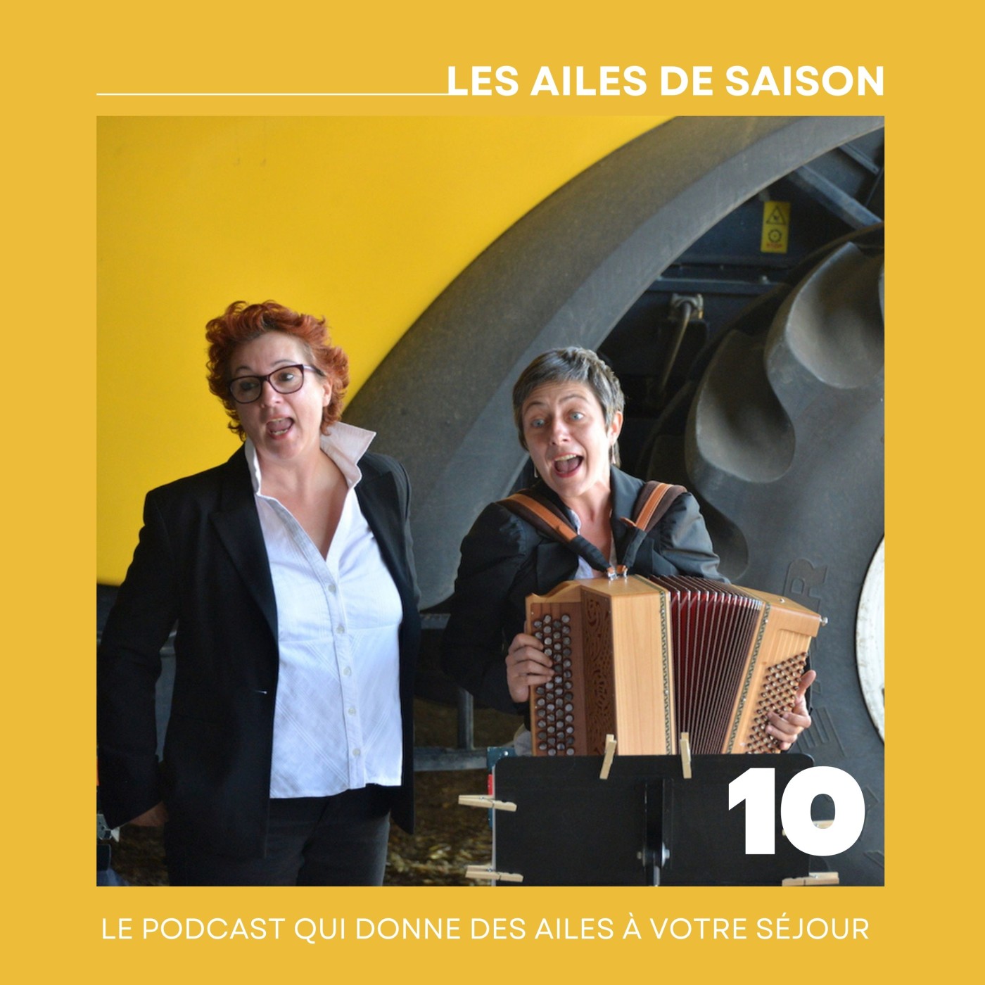 Les ailes de saison