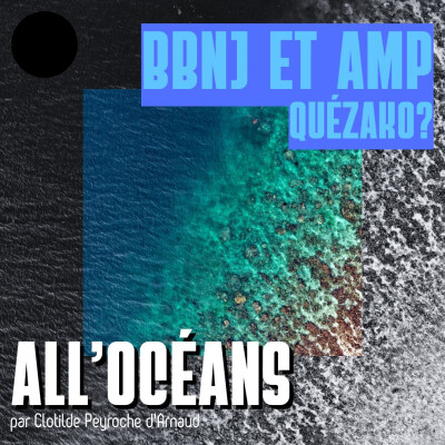 BBNJ et AMP quézako ? cover