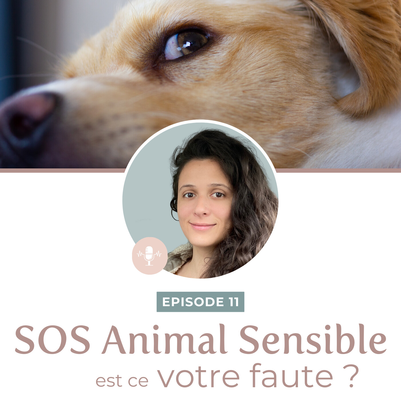 Animale Therapie