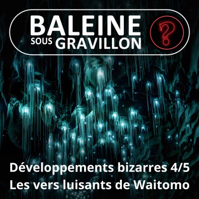 S07E129 Vous avez dit bizarre ? Développement 4/5 : Les Vers luisants de Waitomo, l'or bleu de Nouvelle-Zélande cover