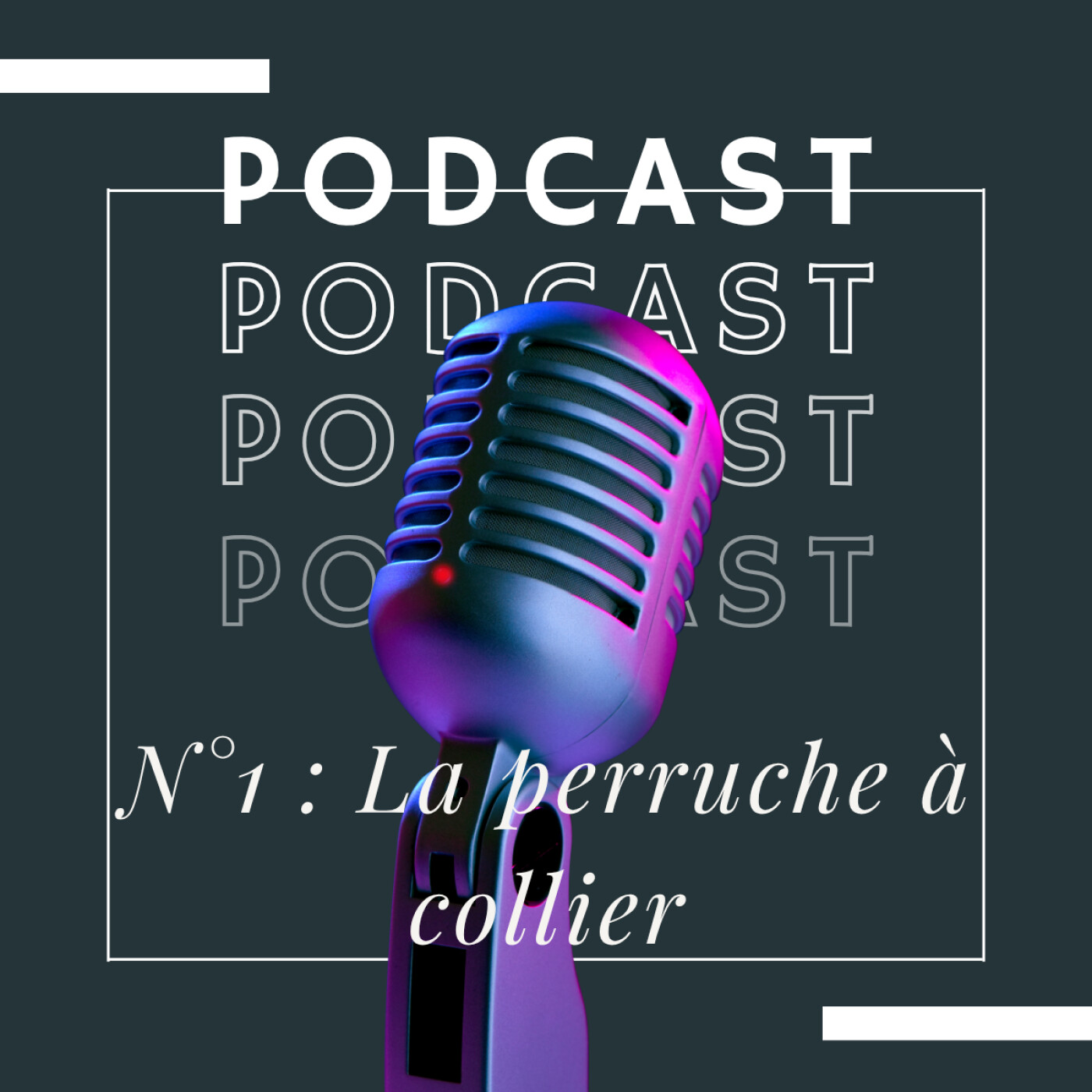 Perruches à collier : Les coulisses du PERMIS DE TUER de l'État. Perruches à collier : Les coulisses du PERMIS DE TUER de l'État.
