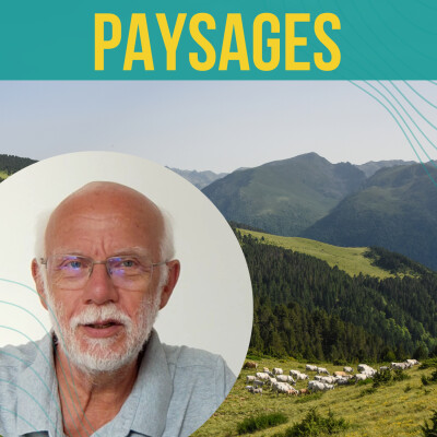 INTERVIEW - Quelle a été l’influence de l’occupation romaine sur les paysages ? | Marc Benoît cover