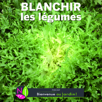 PAROLES D'EXPERTS: POURQUOI EET COMMENT BLANCHIR LES LÉGUMES ? cover