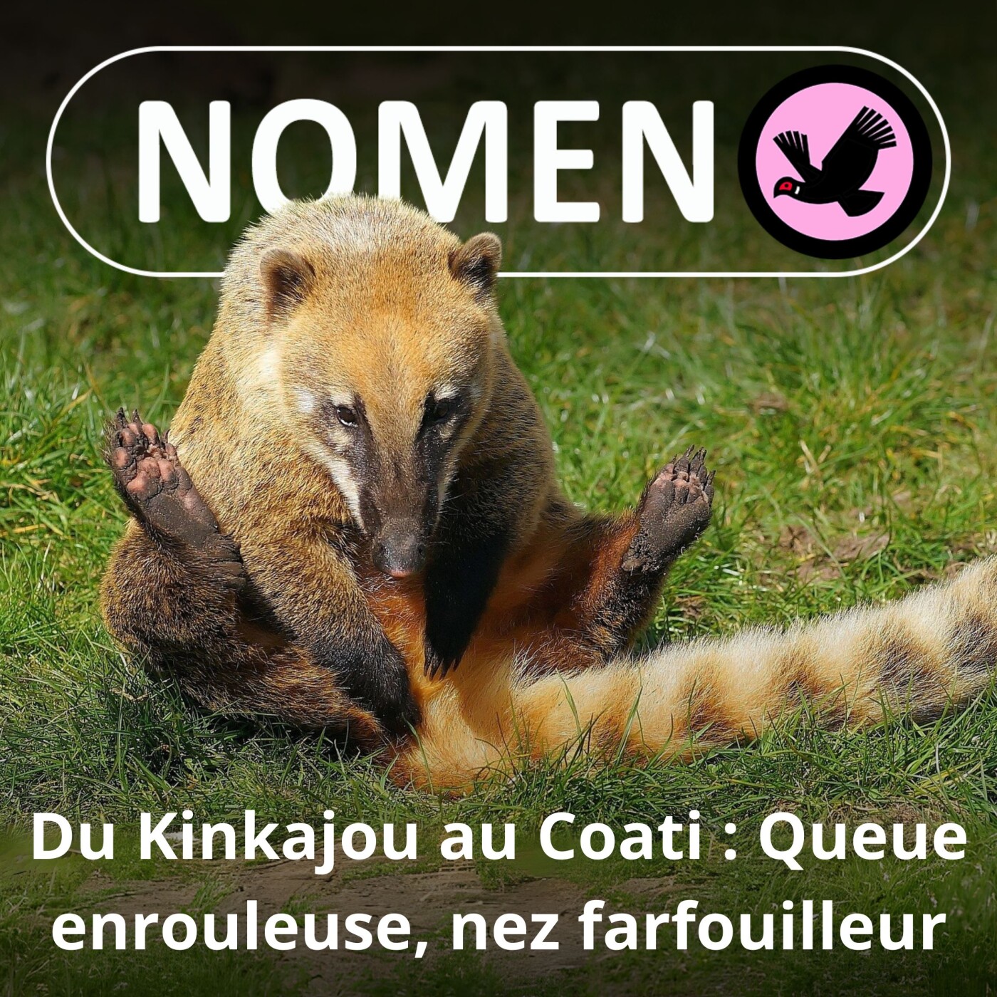 Nomen