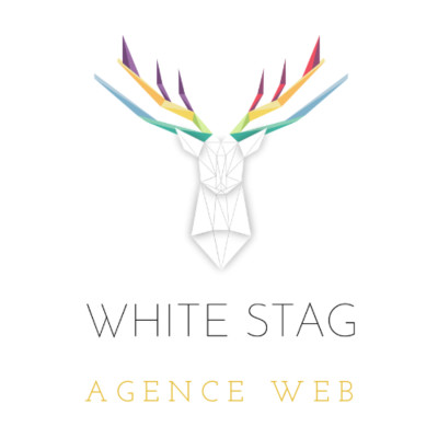 01 - 4 raisons d'avoir un site web en 2021 cover