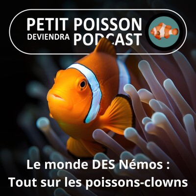 S04E17 Le monde DES Némos : un nouveau cycle pour tout savoir sur les poissons-clowns cover