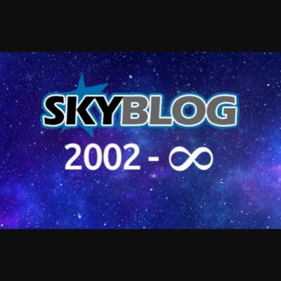 Sauver les Skyblogs cover
