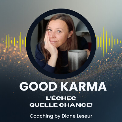 #11 L'échec, quelle chance! cover