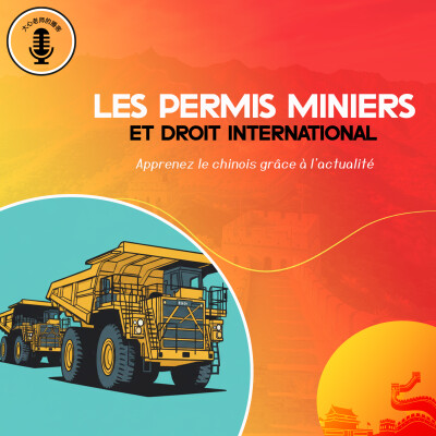 Les permis miniers et le droit international cover