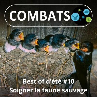 BEST OF D'ÉTÉ #10 : Soigner la faune sauvage 10/13 cover