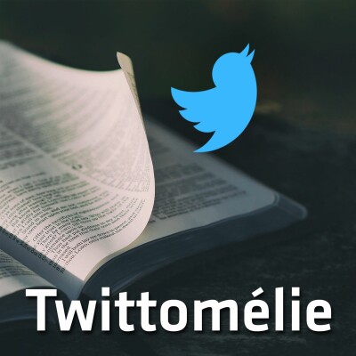 Vincent Lafargue : Matthieu 7:25 cover