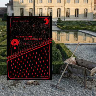 Olivier Vonlanthen - Notre-Dame-des-Démolies cover