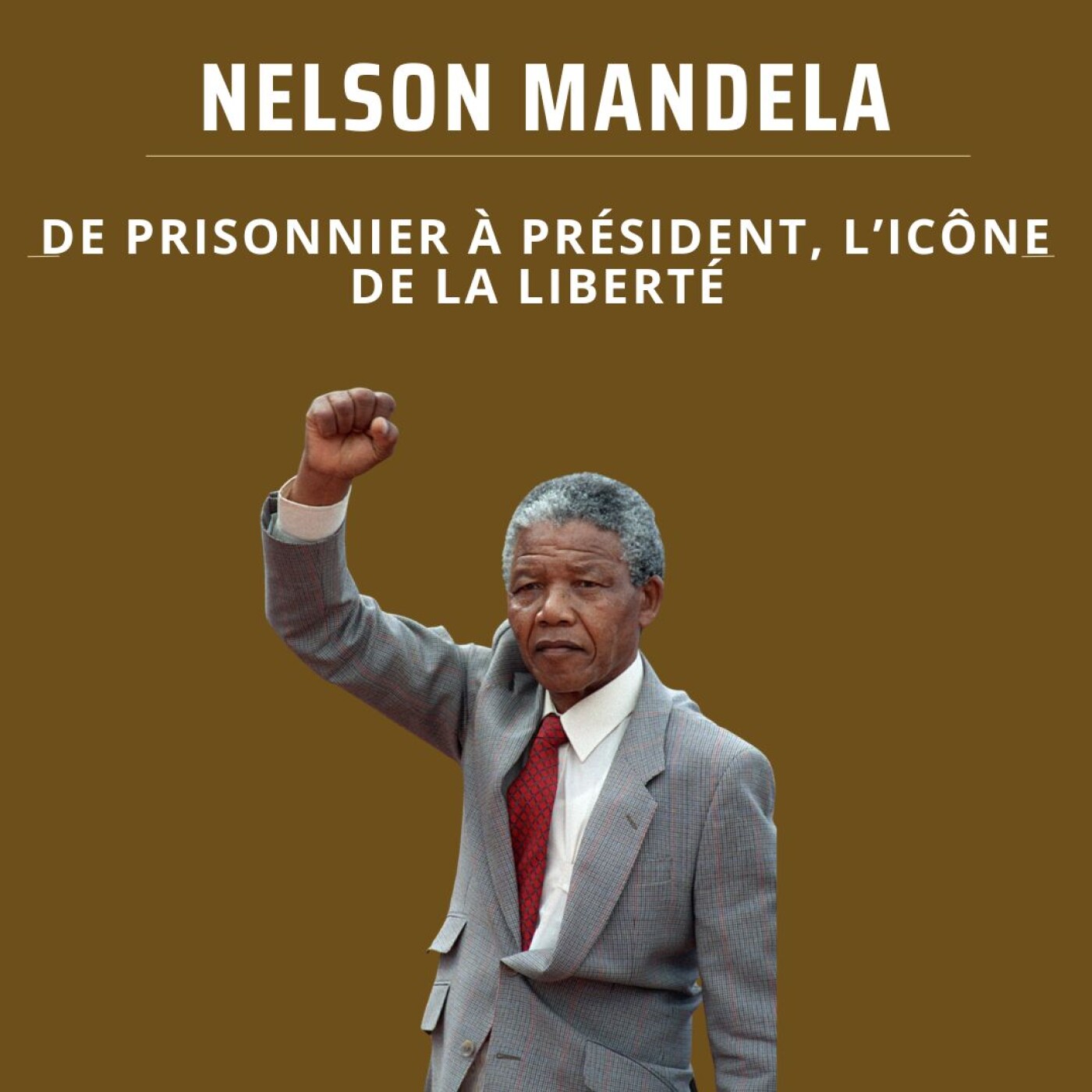 Nelson Mandela : De prisonnier à président, l’icône de la liberté