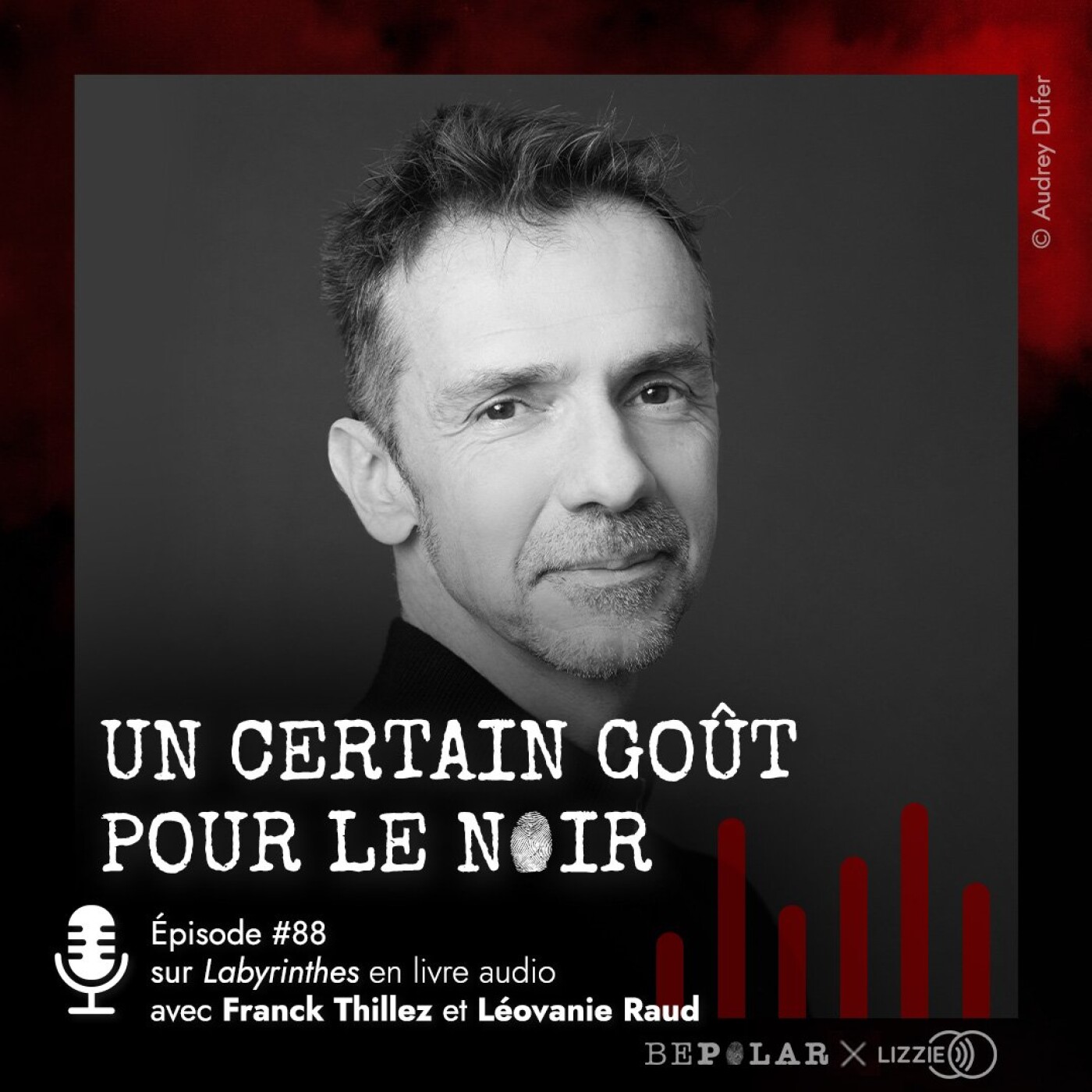 Le polar en livre audio... Focus sur Labyrinthes avec Franck Thilliez et la comédienne Léovanie Raud... Un certain goût pour le noir #88 episode artwork