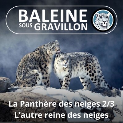 HORS-SÉRIE La Panthère des neiges 2/3 : Les étonnants secret de l'autre reine des neiges cover