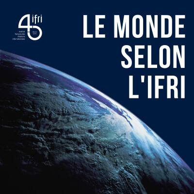La France dans l'Indo-Pacifique : ambitions et réalités cover