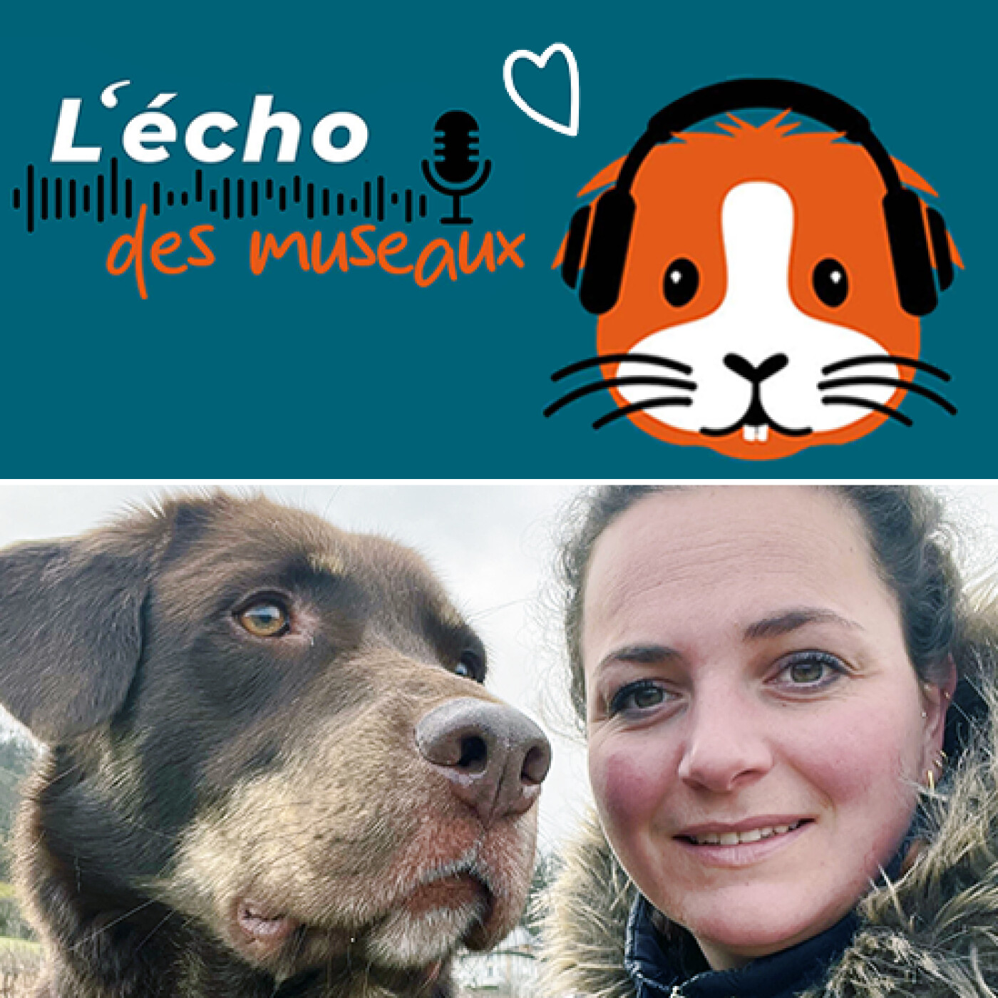 L\'écho des museaux