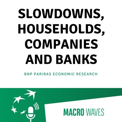 #02 - Slowdowns, households, companies and banks cover
