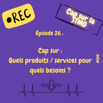 Podcast 26 : Quels produits / services pour quels besoins ? cover