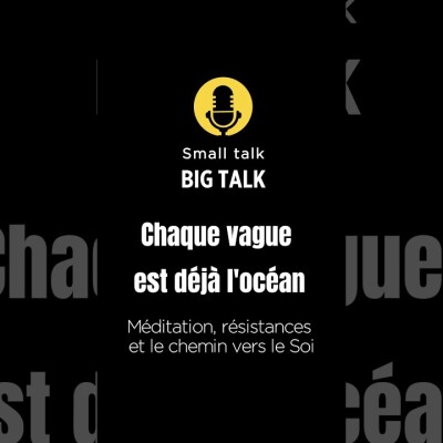 [Small talk-Big Talk]: Chaque vague est déjà l'océan - Méditation, résistances et chemin vers le Soi cover