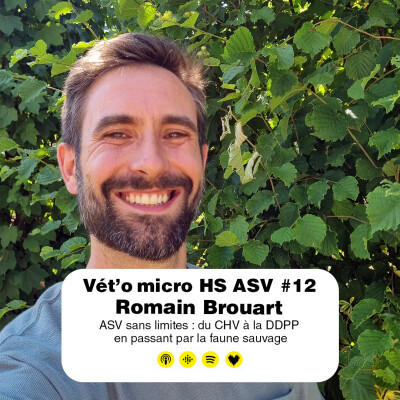HS ASV #12 - Romain Brouart :  ASV sans limites : du CHV à la DDPP en passant par la faune sauvage cover