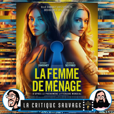 Critique Sauvage n°20 - La Femme de Ménage de Paul Feig [Sans spoilers] cover