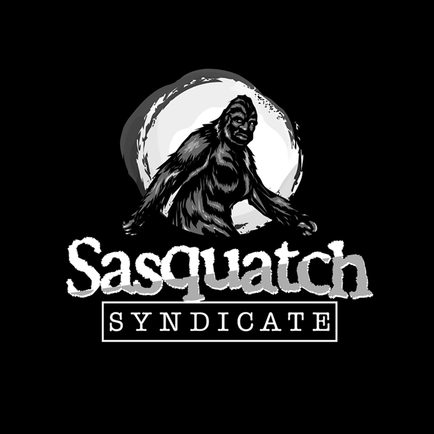 Northern Idaho Bigfoot Research Part Two, Sasquatch Encounters and Wilderness Investigations episode artwork