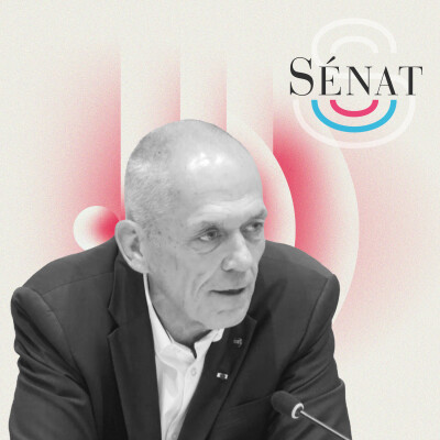 Recherche en France : audition d'Antoine Petit, directeur du CNRS cover
