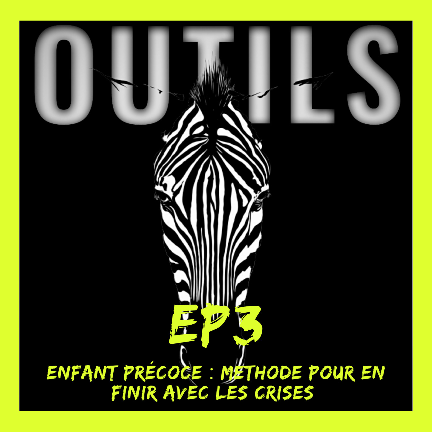 (EP3) ENFANT PRECOCE : METHODE POUR EN FINIR AVEC  LES CRISES .