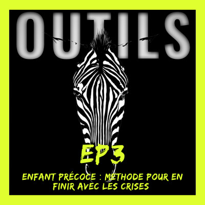 (EP3) ENFANT PRECOCE : METHODE POUR EN FINIR AVEC  LES CRISES . cover