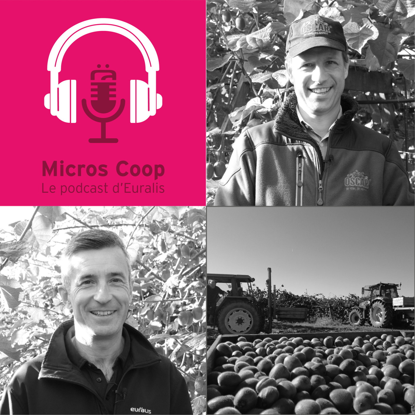 Micros Coop