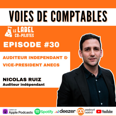 #30 Auditeur indépendant et Vice-président ANECS cover