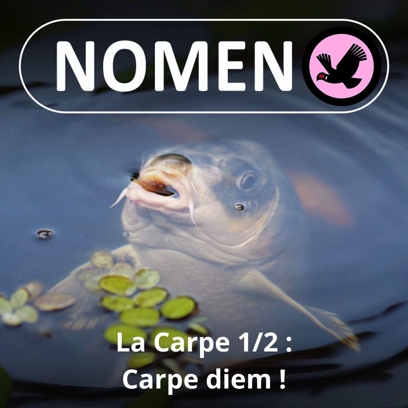 Nomen