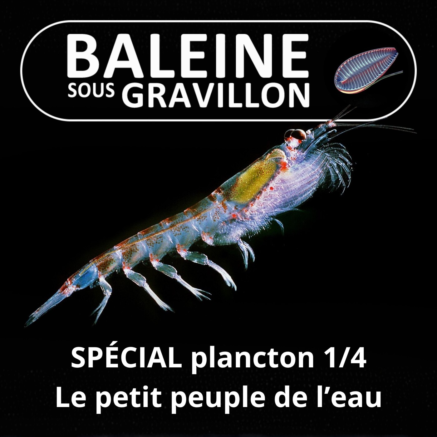 SPÉCIAL PLANCTON 1/4 : Le "petit peuple de l'eau", inconnu mais essentiel (Pierre Mollo)