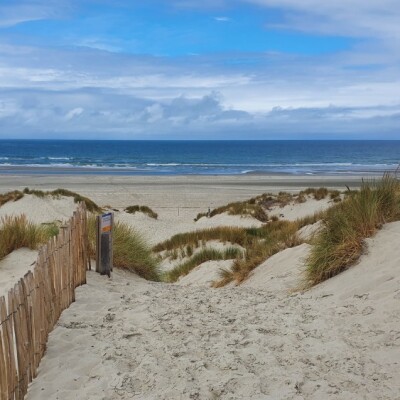 Randonnée vivifiante dans les dunes de Saint-Quentin-en-Tourmont ! cover