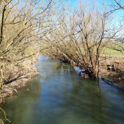 En Grand-Est, découvrez la vallée de la Nied cover