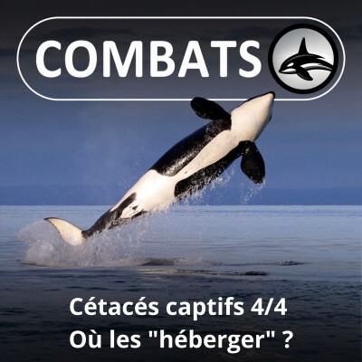 S05E59 Cétacés captifs en France 4/4 : Où et comment les "héberger" ? cover