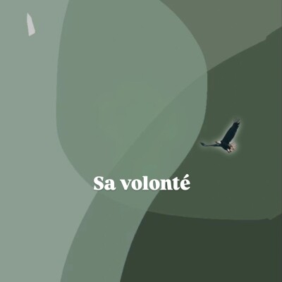 Sa volonté cover
