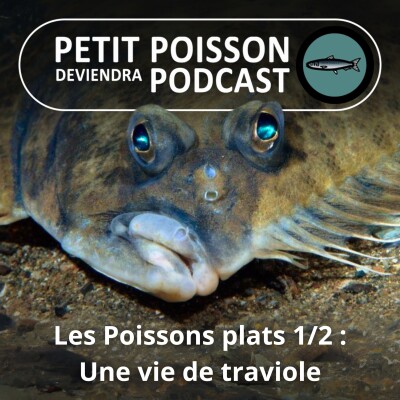 Show cover