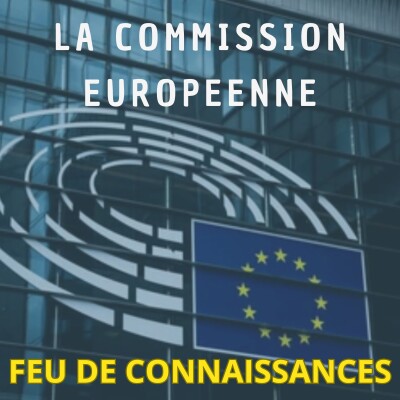 La Commission Européenne cover
