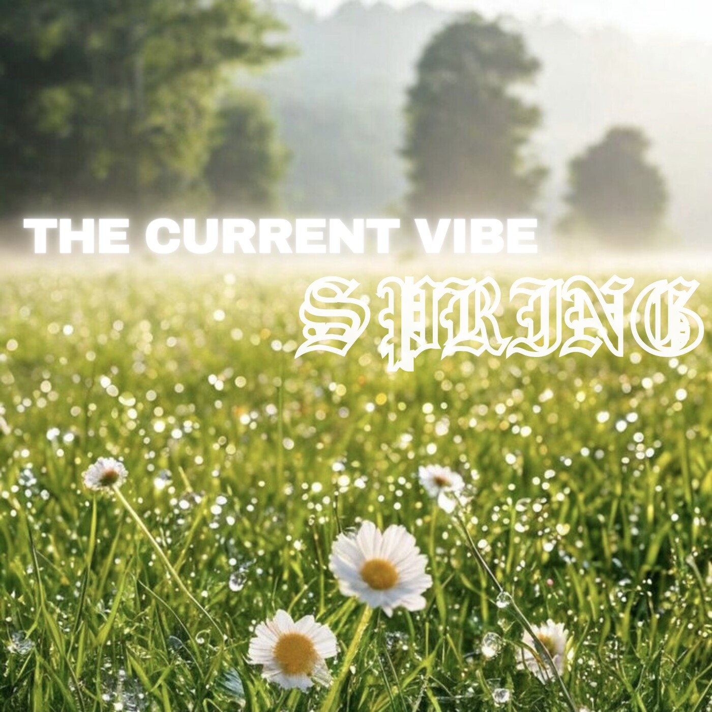 SPRING episode artwork