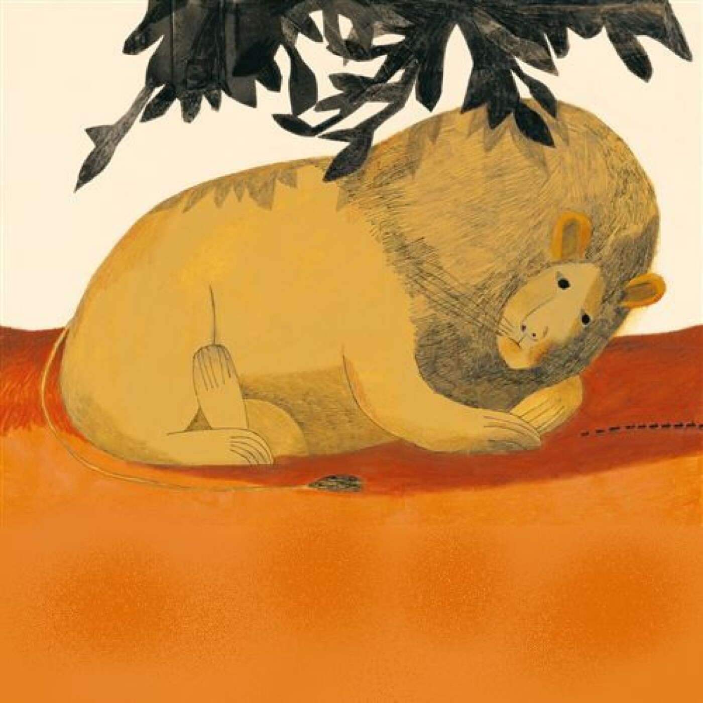 Les émotions du Lion par l'école de Sta Maria de Siché 2026-03 episode artwork