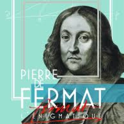 Pierre de Fermat l'enigmatique cover