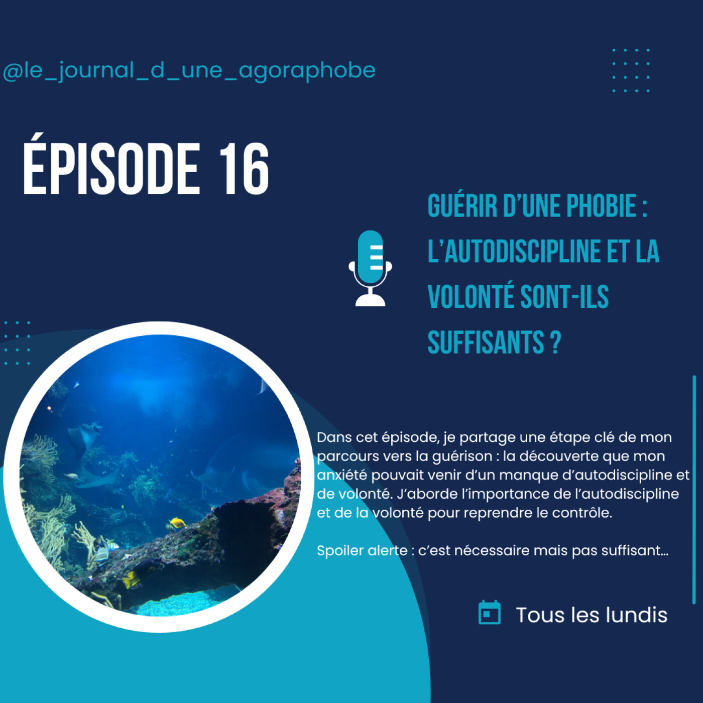 Le journal d’une agoraphobe