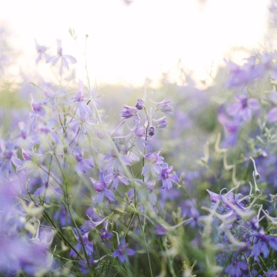 Vacances d'été : envoyez des cartes postales magiques ! cover