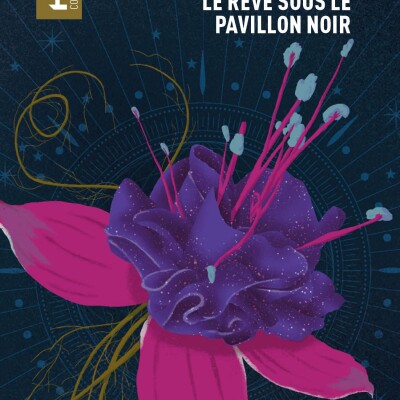Attention interview passionnante de Jeanne-A Debats sur son rapport à l'écriture et sur Le Rêve sous le Pavillon noir. cover