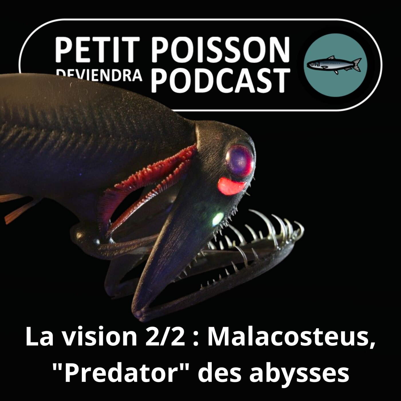 Petit Poisson deviendra Podcast