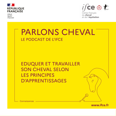 Ép. 10 | Éduquer et travailler son cheval selon les principes d'apprentissages - Olivier Puls cover