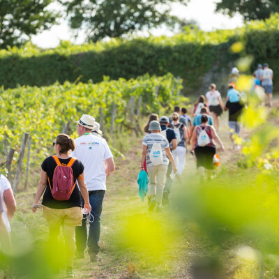 Découvrir la Champagne à pied, pas à pas cover