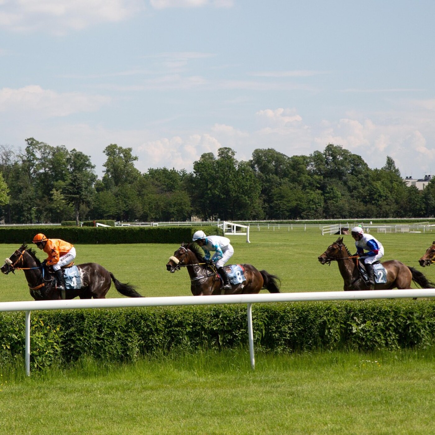 Un jour aux courses avec Zéon Litrone !